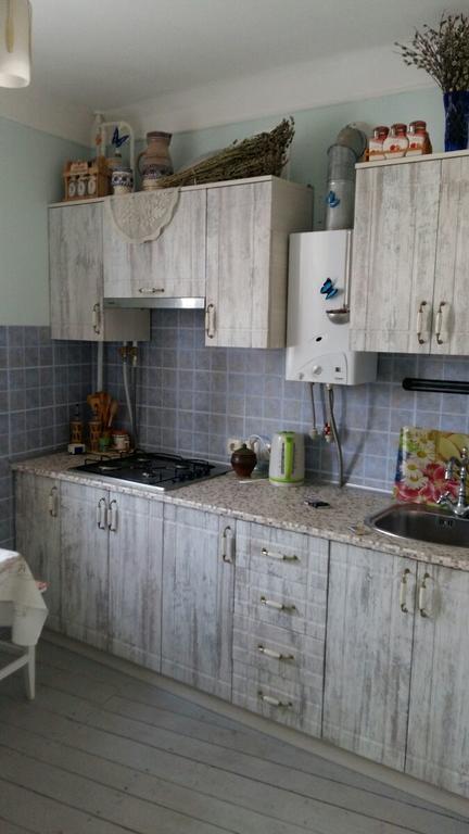 Eco-Apartment In Province Style 米尔哥罗德 外观 照片
